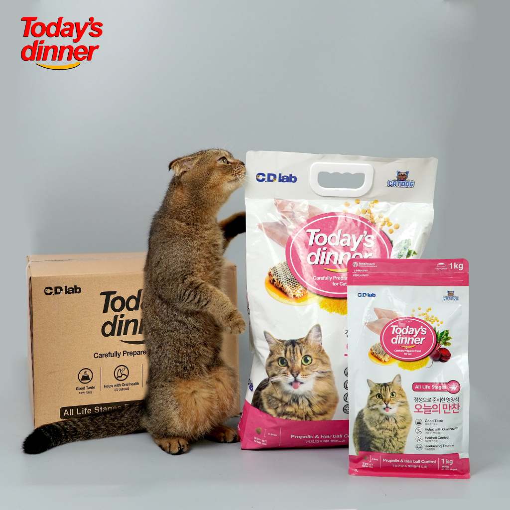 [5KG] TODAY'S DINNER ALL LIFE - Thức ăn hạt cho Mèo Mọi Lứa Tuổi dinh dưỡng ngừa búi lông nhập khẩu Hàn Quốc