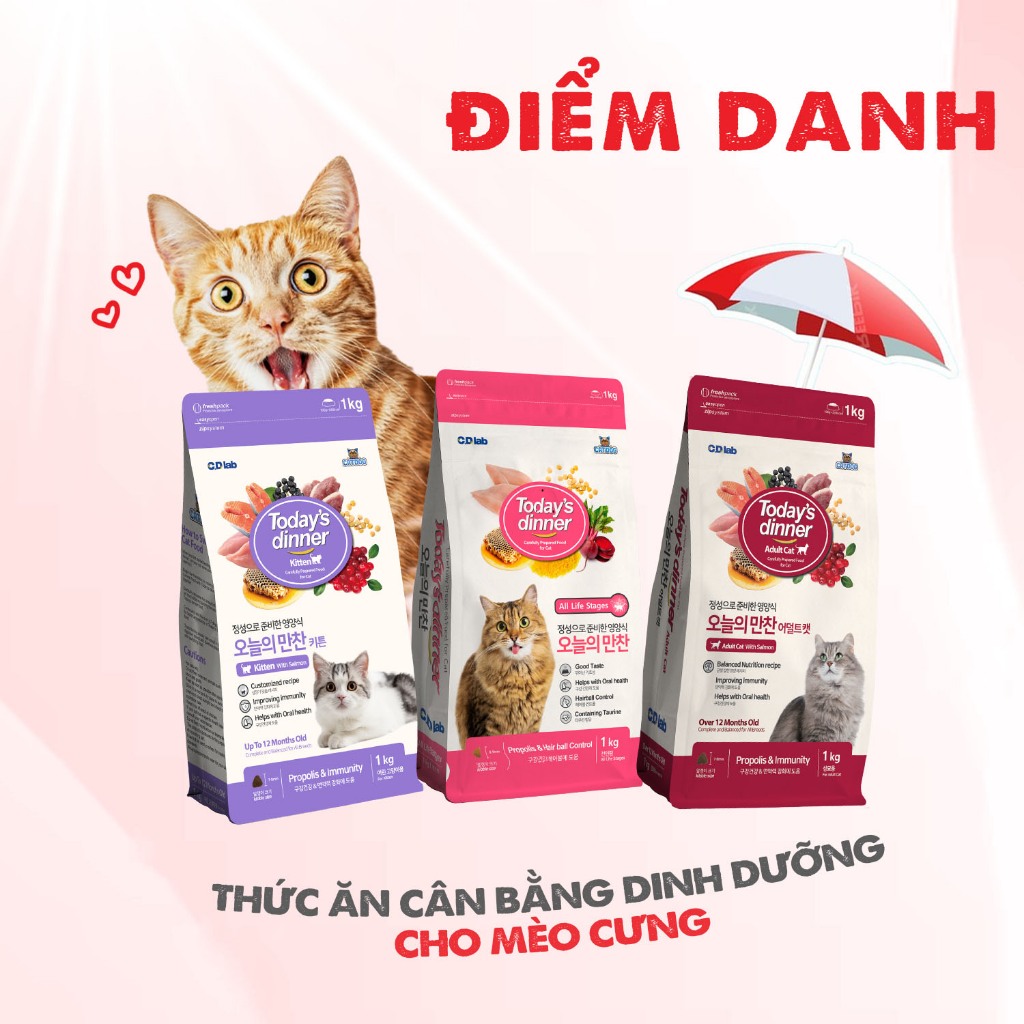 [THÙNG 12 GÓI] Today's Dinner -Thức ăn cho mèo các loại Chính Hãng nhập khẩu Hàn Quốc