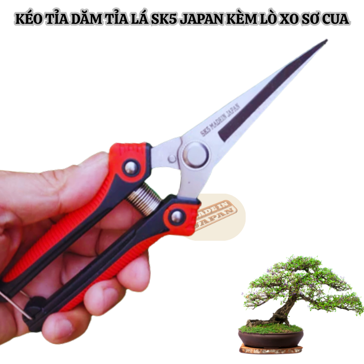 Kéo tỉa dăm tỉa lá Sk5 Japan bằng thép trắng không gỉ-kèm lò xo sơ cua