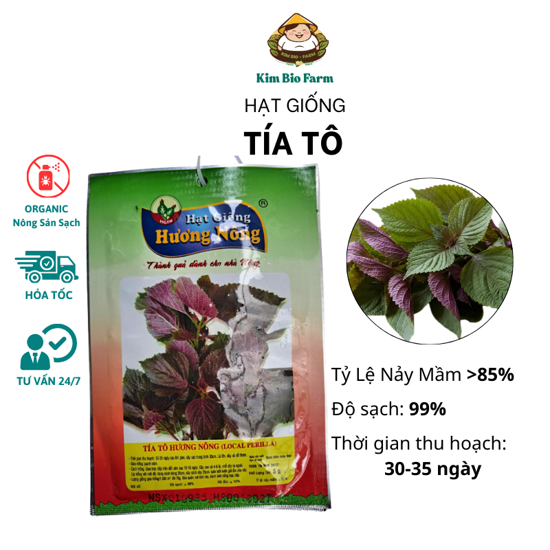 Hạt Giống Tía Tô Hương Nông - Tỉ Lệ Nảy Mầm Cao, Phát Triển Nhanh