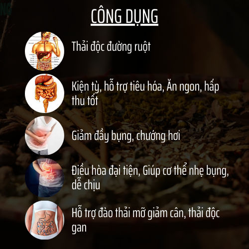 Đông Cát Đường - Tra thao mộc - thông tiêu hóa, giảm đầy bụng, ăn không tiêu, táo bón, thải ruột giảm độc tố