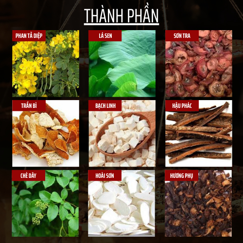 Đông Cát Đường - Tra thao mộc - thông tiêu hóa, giảm đầy bụng, ăn không tiêu, táo bón, thải ruột giảm độc tố