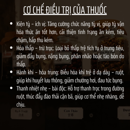 Đông Cát Đường - Tra thao mộc - thông tiêu hóa, giảm đầy bụng, ăn không tiêu, táo bón, thải ruột giảm độc tố