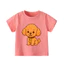 👕 Áo Thun Bé Gái mềm mịn thoáng mát in hình dễ thương 👕 AT393