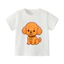 👕 Áo Thun Bé Gái mềm mịn thoáng mát in hình dễ thương 👕 AT393