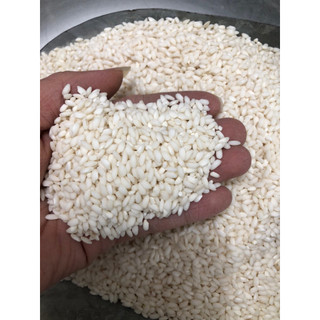 Nếp cái hoa vàng(nếp bắc) túi 5kg