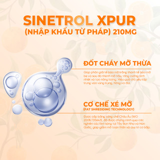 Giảm cân dạng viên uống VTM Sinetrol Xpur giảm thèm ăn, hỗ trợ giảm cân, giảm béo hộp 60 viên