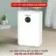 Máy hút ẩm lọc không khí mini Fujihome DHP05 1080ml/ngày, lọc không khí Ion khử khuẩn UV phòng tủ quần áo, tủ giày, sách