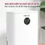 Máy hút ẩm lọc không khí mini Fujihome DHP05 1080ml/ngày, lọc không khí Ion khử khuẩn UV phòng tủ quần áo, tủ giày, sách