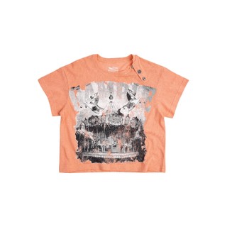 CAROUSEL TEE / ÁO THUN /  GAMBLE WORLDWIDE