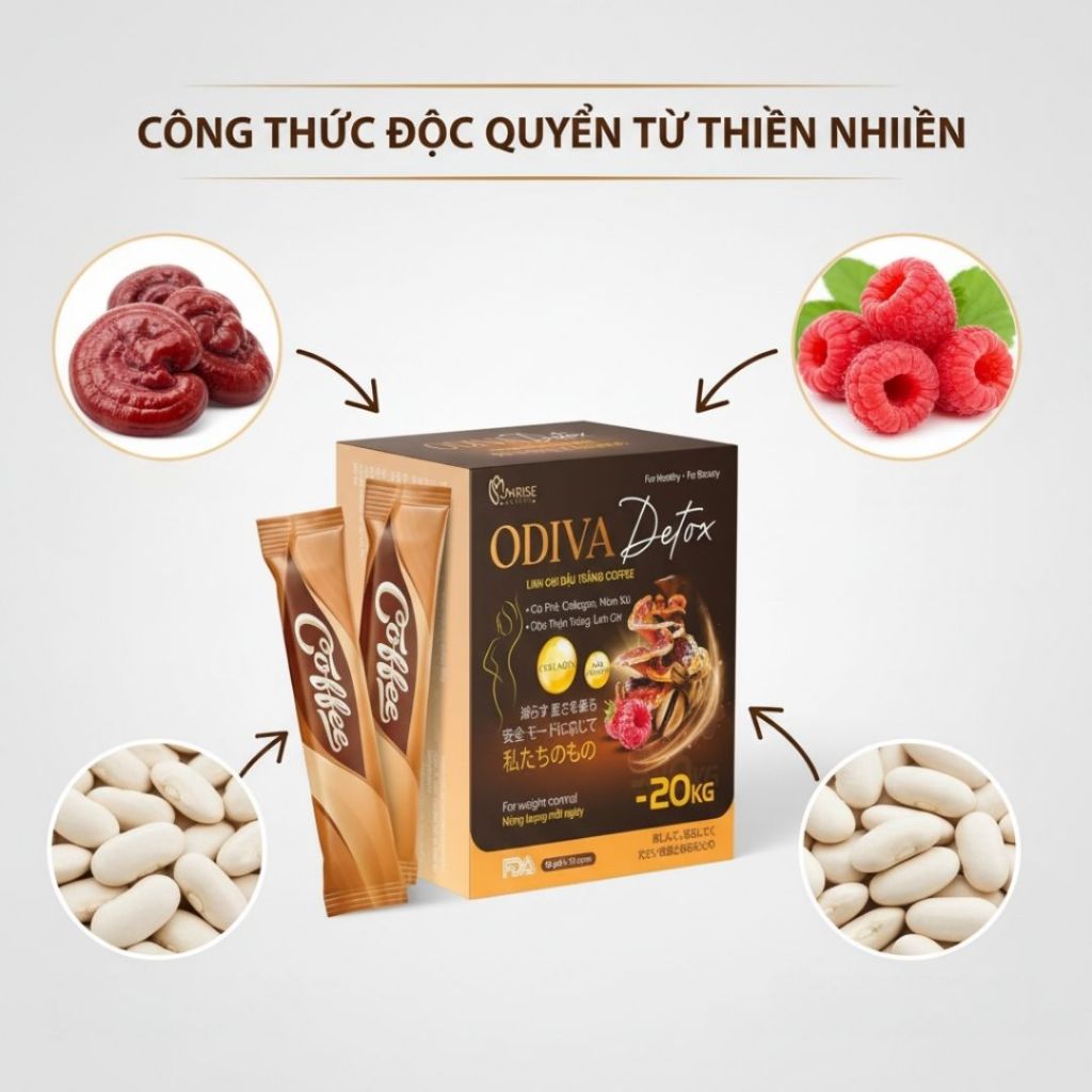 Cà phê Odiva Linh Chi & Đậu Trắng – Mâm Xôi: Giải pháp hoàn hảo kiểm soát cân nặng!