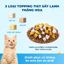 Hạt Cho Mèo Mr.Vet / Mrvet T2 Chăm Da, Dưỡng Lông, Bảo Vệ Hệ Hô Hấp Cho Mèo