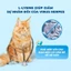 Hạt Cho Mèo Mr.Vet / Mrvet T2 Chăm Da, Dưỡng Lông, Bảo Vệ Hệ Hô Hấp Cho Mèo