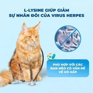 [ 10kg Xá ] Hạt Cho Mèo Mr.Vet / Mrvet T2 Chăm Da, Dưỡng Lông, Bảo Vệ Hệ Hô Hấp Cho Mèo