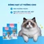 Hạt Cho Mèo Mr.Vet / Mrvet T2 Chăm Da, Dưỡng Lông, Bảo Vệ Hệ Hô Hấp Cho Mèo