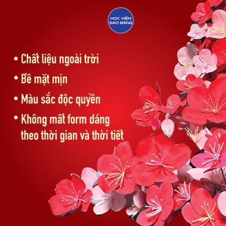 Hoa đào, hoa mai trang trí Tết, chất liệu ngoài trời - Học viện Sao Băng