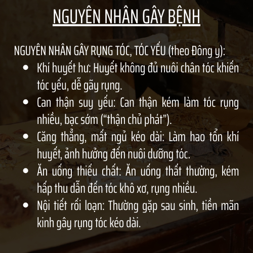 Trà túi lọc Dưỡng Tóc (Rụng tóc, bạc sớm) - Đông Cát Đường - TP hà thủ ô - bổ huyết, mọc tóc, chắc chân tóc - Túi 50 lọc
