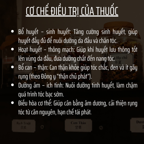 Trà túi lọc Dưỡng Tóc (Rụng tóc, bạc sớm) - Đông Cát Đường - TP hà thủ ô - bổ huyết, mọc tóc, chắc chân tóc - Túi 50 lọc