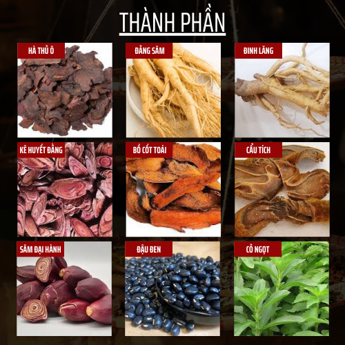 Trà túi lọc Dưỡng Tóc (Rụng tóc, bạc sớm) - Đông Cát Đường - TP hà thủ ô - bổ huyết, mọc tóc, chắc chân tóc - Túi 50 lọc