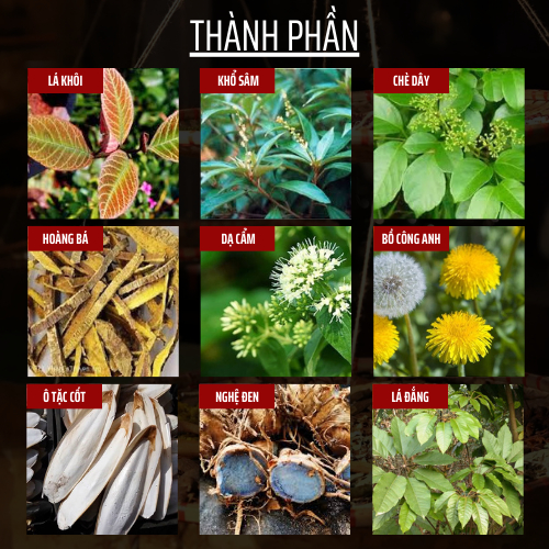 TRA DA DAY DAI TRANG - ĐÔNG CÁT - GIAM DAY HOI, AN KHONG TIEU, TRAO NGUOC, VIEM KHUAN HP - 50 LỌC