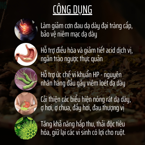 TRA DA DAY DAI TRANG - ĐÔNG CÁT - GIAM DAY HOI, AN KHONG TIEU, TRAO NGUOC, VIEM KHUAN HP - 50 LỌC