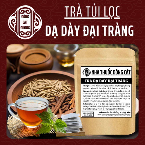 TRA DA DAY DAI TRANG - ĐÔNG CÁT - GIAM DAY HOI, AN KHONG TIEU, TRAO NGUOC, VIEM KHUAN HP - 50 LỌC