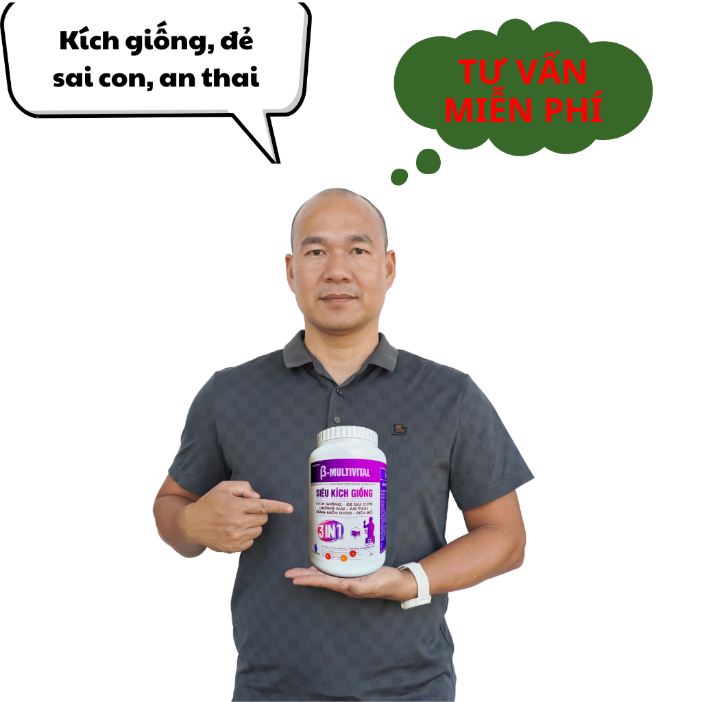 SIÊU KÍCH GIỐNG CHO HEO, BỔ SUNG NĂNG LƯỢNG 1KG