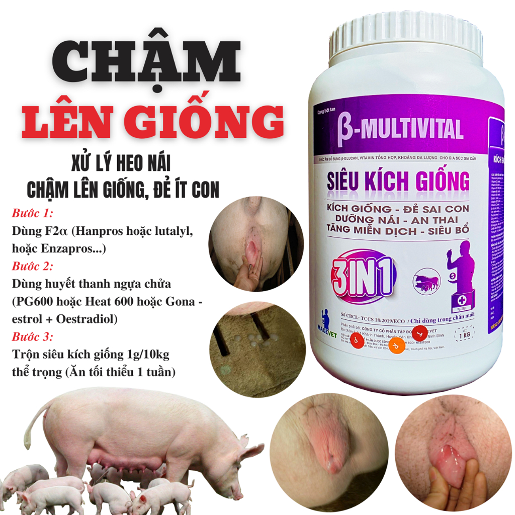 SIÊU KÍCH GIỐNG CHO HEO, BỔ SUNG NĂNG LƯỢNG 1KG