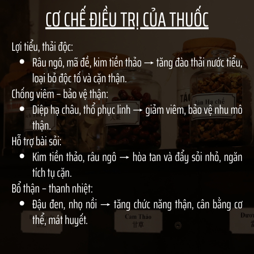 Trà Thải Độc Thận & Tiết Niệu & Tán sỏi - Đông Cát Đường - làm sạch thận, Giảm Tiểu Buốt, tiểu đêm, tiểu rắt, đau thắt