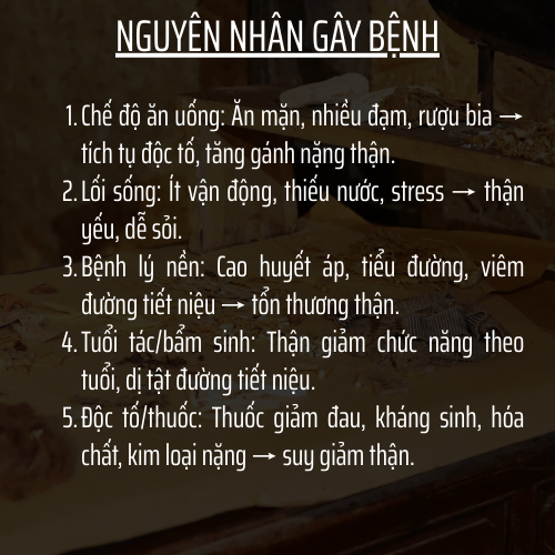 Trà Thải Độc Thận & Tiết Niệu & Tán sỏi - Đông Cát Đường - làm sạch thận, Giảm Tiểu Buốt, tiểu đêm, tiểu rắt, đau thắt