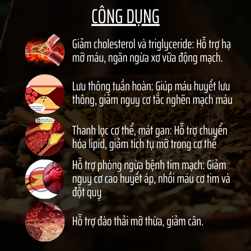 Trà Hạ Mỡ Máu -Đông Cát Đường - Hỗ Trợ Giảm Mỡ Máu, Choles.terol, Thanh Lọc Mạch Máu, Giúp Cơ Thể Nhẹ Nhàng - Túi 50 lọc