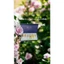 Set 6 Chai Tinh Dầu Nước Hoa Dubai Mini 3ml – Bi Lăn Tiện Lợi – Lưu Hương Lâu – Giá Rẻ – Unisex