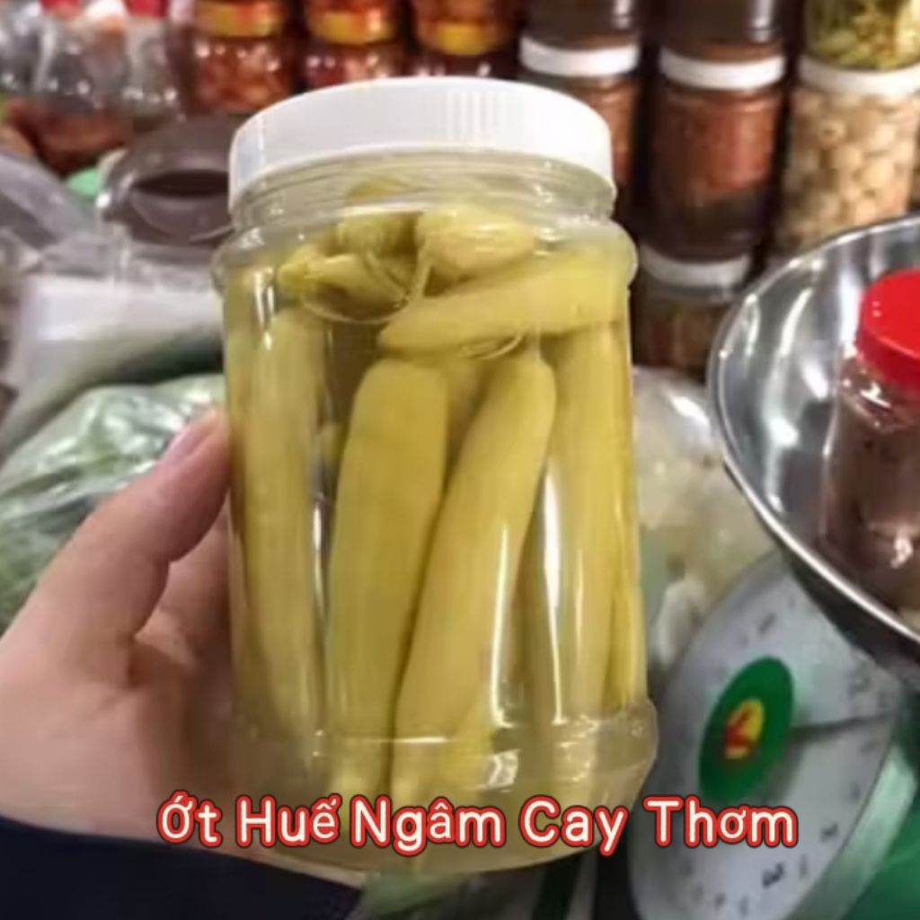 Hạt Giống Ớt Huế Ăn Cực Cay Thơm, Cây Lâu Năm Rất Dễ Trồng