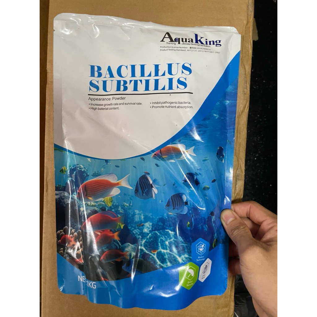 BACILLUS SUBTILIS vi sinh đơn dòng hàm lượng 20 tỷ/g
