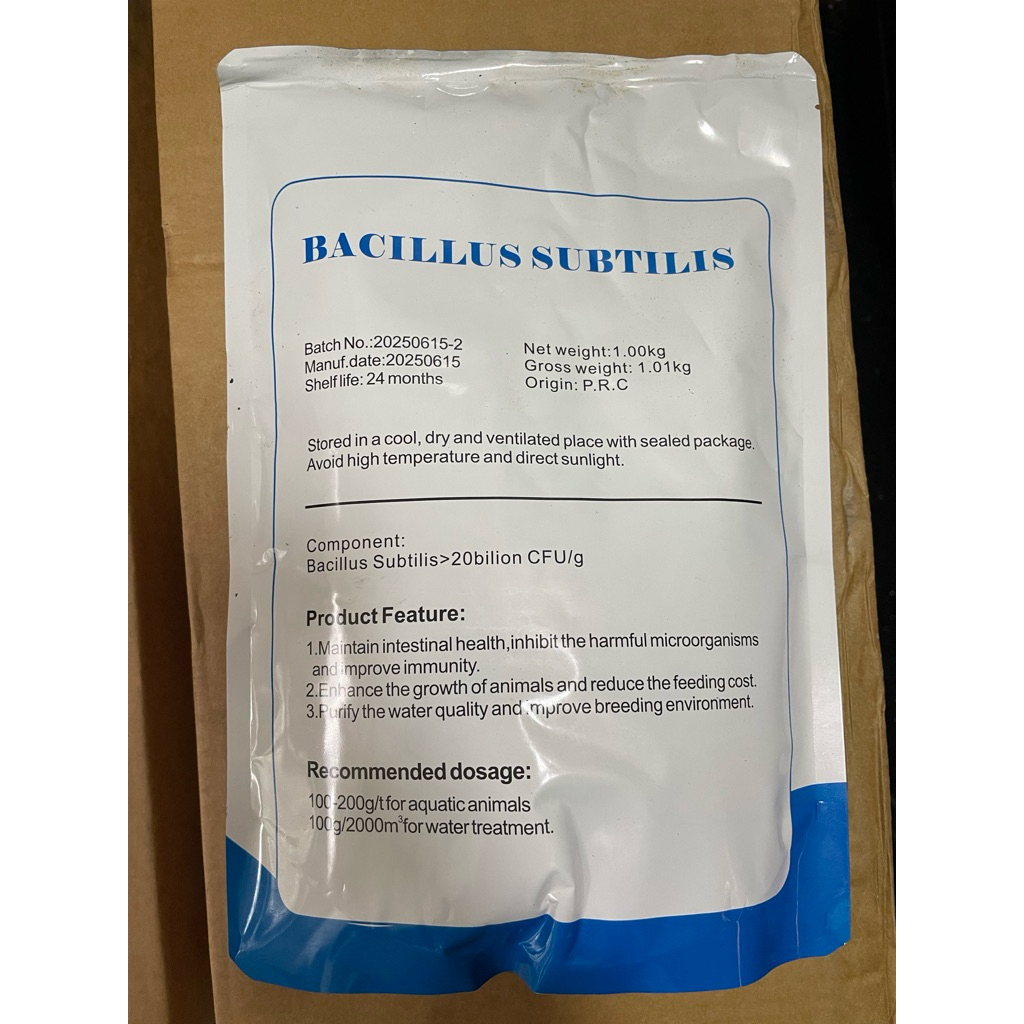 BACILLUS SUBTILIS vi sinh đơn dòng hàm lượng 20 tỷ/g