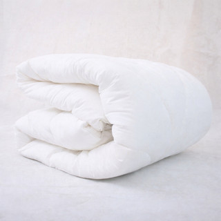 Ruột Chăn Đông Siêu Ấm, Siêu Nhẹ nặng 2.5kg kích thước 2mx2m may sẵn tai dễ lồng tháo JAFUMA