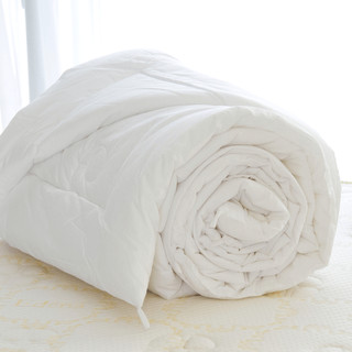 Ruột Chăn Đông Siêu Ấm, Siêu Nhẹ nặng 2.5kg kích thước 2mx2m may sẵn tai dễ lồng tháo JAFUMA