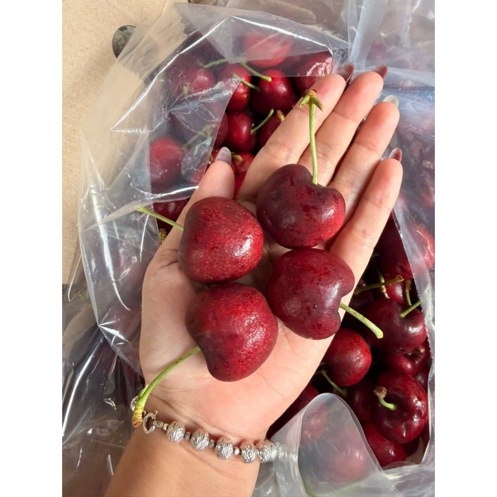 [ JENNY FRUIT ] [ HỎA TỐC ] CHERRY MỸ GIÒN NGỌT