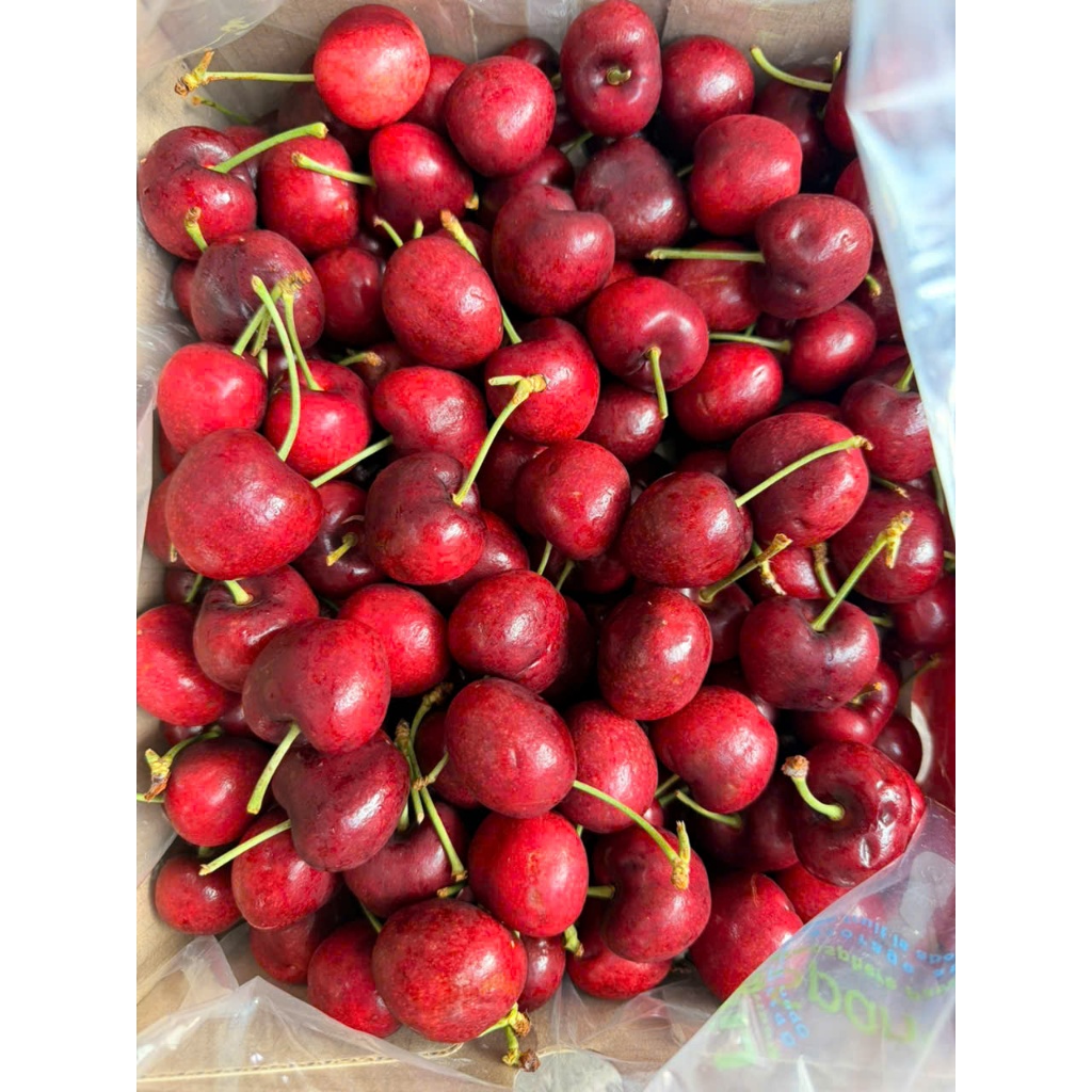 [ JENNY FRUIT ] [ HỎA TỐC ] CHERRY MỸ GIÒN NGỌT
