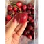 CHERRY MỸ GIÒN NGỌT