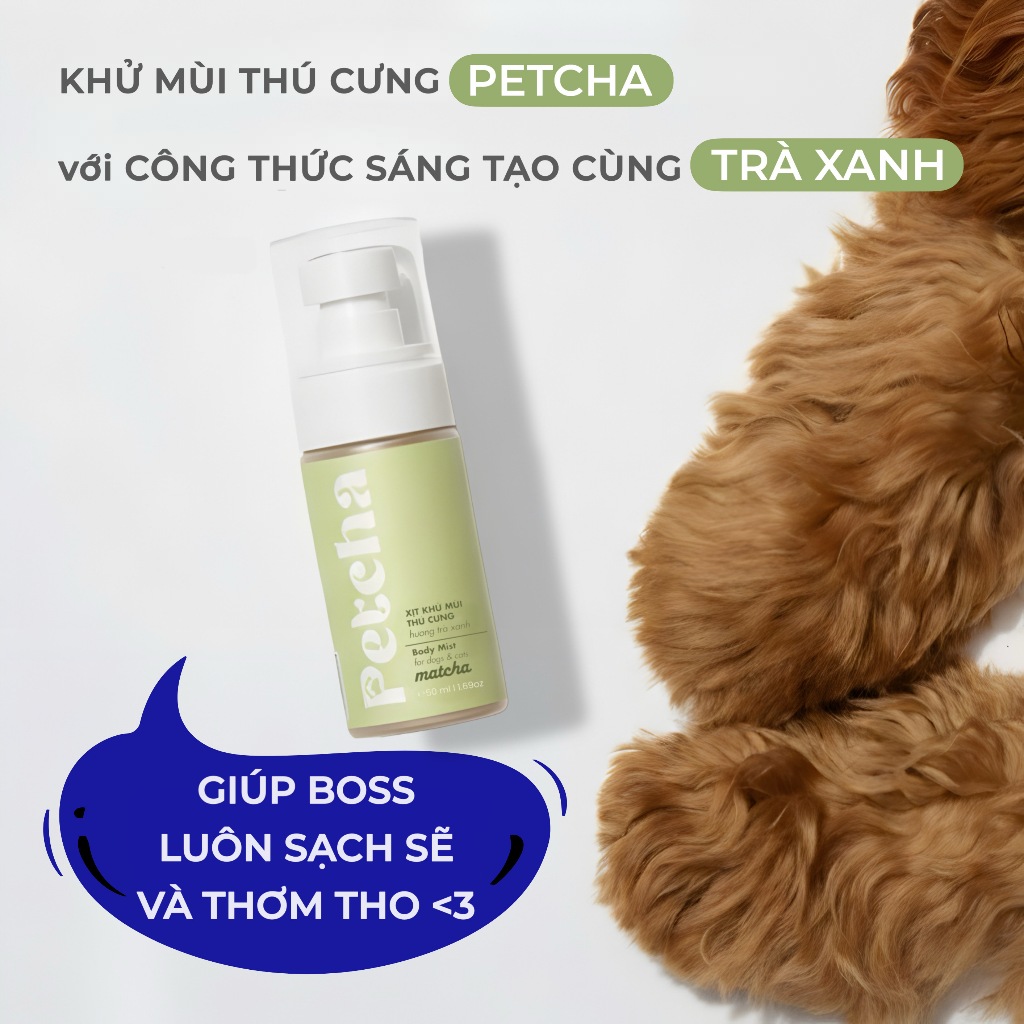 Body Mist 50ml Cho Chó Mèo | Petcha Xịt Thơm Khử Mùi Thú Cưng, Hương Dịu Nhẹ An Toàn, Giữ Lông Thơm