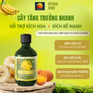 Kích Rễ & Kích Mầm, Giúp Rễ Khỏe Hoa Sai Đậm Màu | 100% Hữu Cơ Chiết Xuất Chuối & Trứng | Phong Lan, Hoa Hồng | SUNLEAF