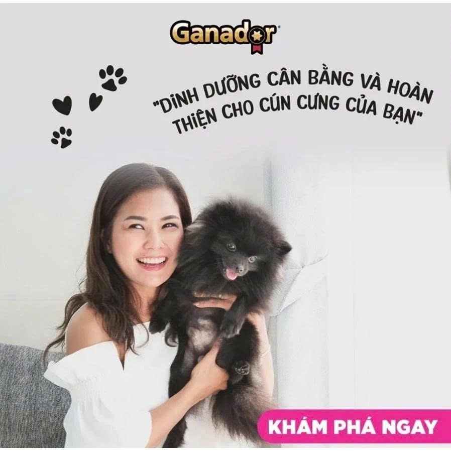 Thức ăn hạt Ganador Premium cho chó trưởng thành vị Cá hồi&Gạo cải thiện khả năng miễn dịch gói 3 kg