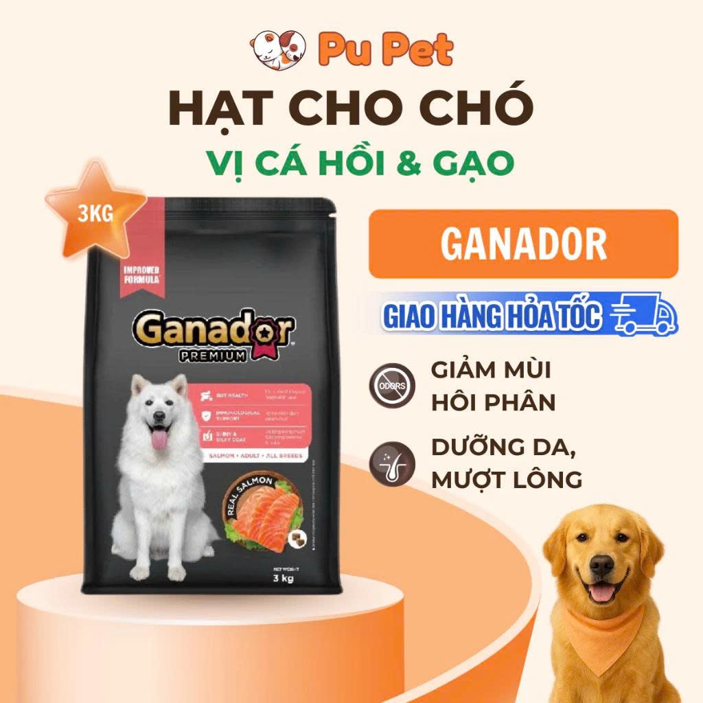 Thức ăn hạt Ganador Premium cho chó trưởng thành vị Cá hồi&Gạo cải thiện khả năng miễn dịch gói 3 kg