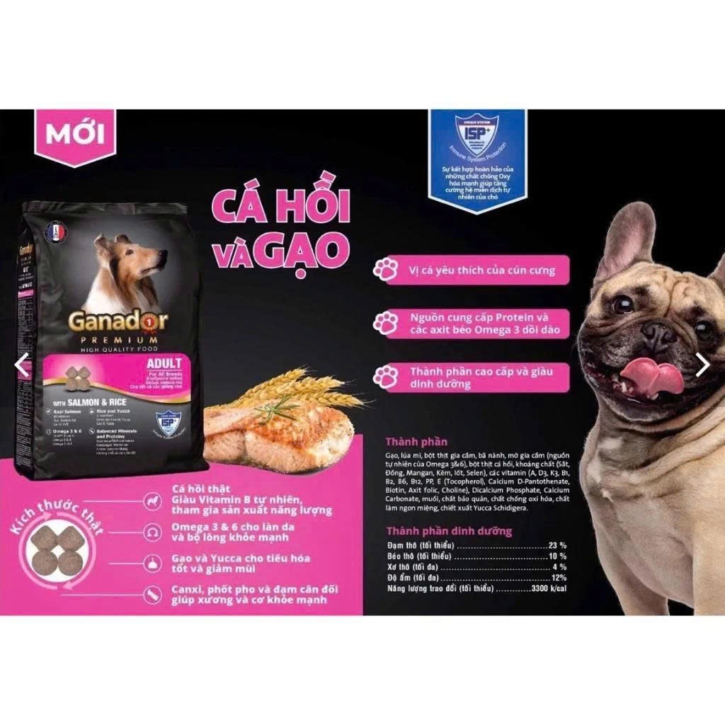 Thức ăn hạt Ganador Premium cho chó trưởng thành vị Cá hồi&Gạo cải thiện khả năng miễn dịch gói 3 kg
