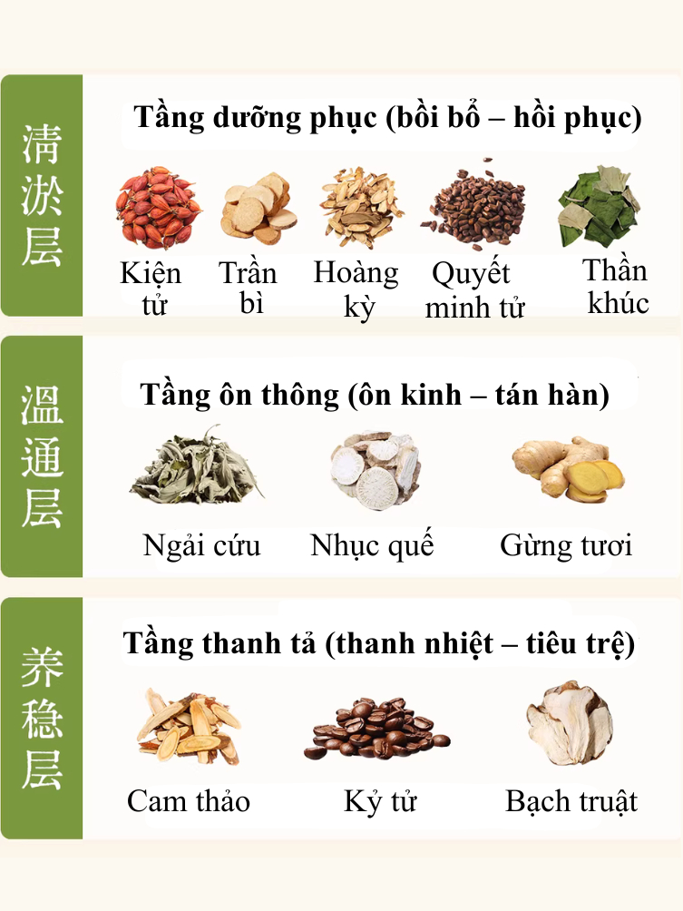 Miếng Miếng Dán - Miếng Dán Giữ Nhiệthảo Mộc Thon Gọn Bụng – Thư Giãn Cơ Thể Dùngoài Da
