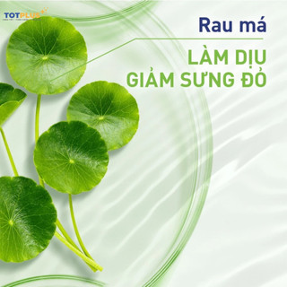 Gel Rửa Mặt Hazeline Tràm Trà Cica - Gel Rửa Mặt Ngừa Mụn