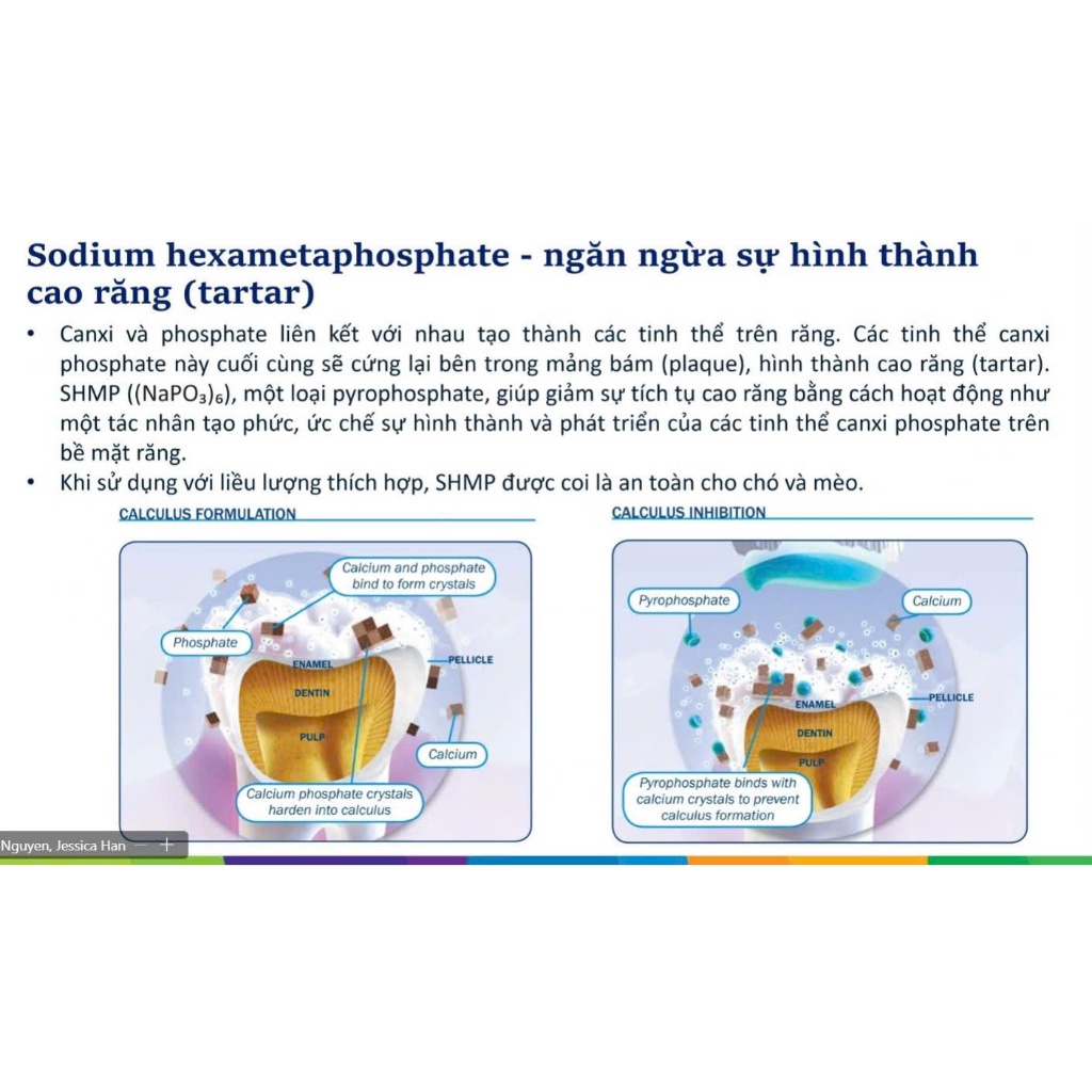 Thức ăn hạt Ganador Premium Adult Small Breed with Lamb dành cho chó giống nhỏ vị Cừu gói 400g