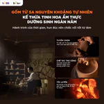 Nồi Kho Hầm Chậm BEAR 3L, Nồi Nấu Chậm Lòng Gốm Tử Sa Nguyên Khoáng Đa Năng Kho Hầm Ninh Nấu Soup Nấu Chè ESP-305LP — ảnh 3