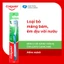 Bàn chải Colgate chăm sóc nướu